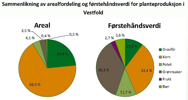 Fordeling av areal og førstehåndsverdi i planteproduksjonen i Vestfold