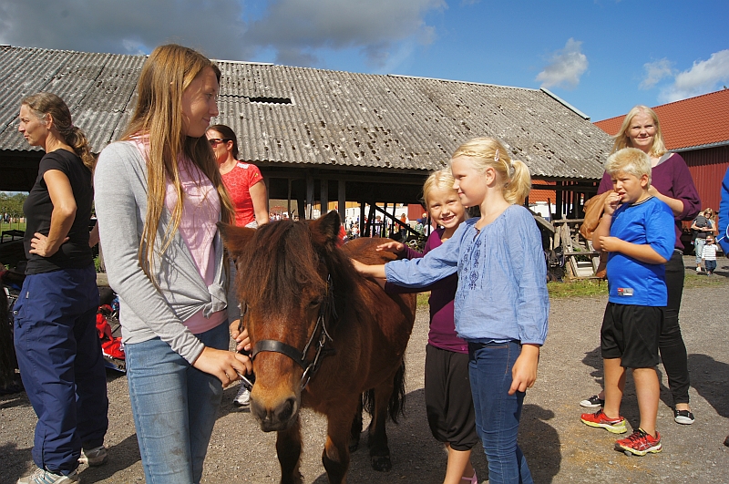 Det er alltid stas å få klappe på dyrene. Her får Karoline og Annathea hilse på ponniene før showet!