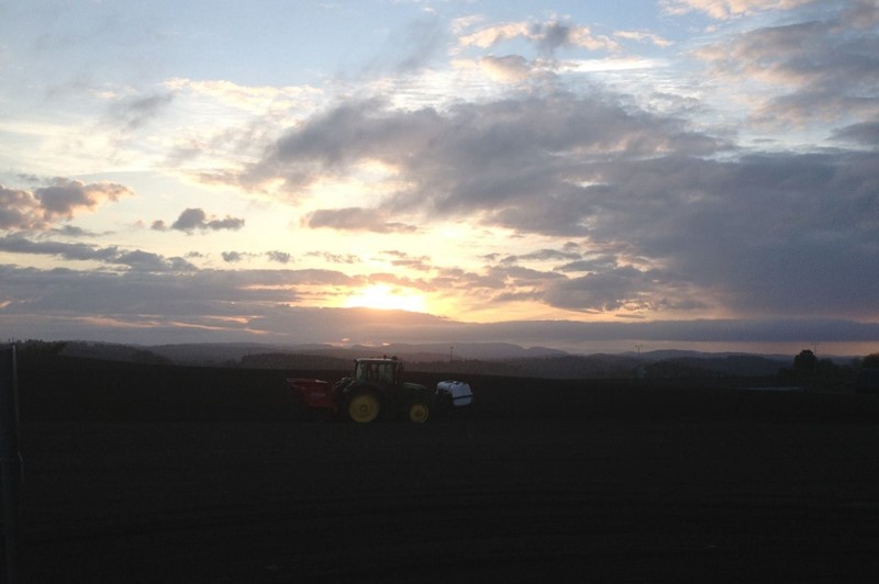 Bildet viser den flotte utsikten fra raet og sier noe om at bonden står på sent og tidlig. Foto Birgitte Ringdal Brekke
