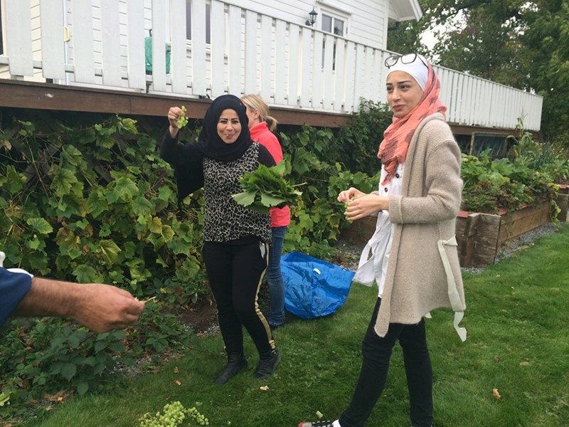 Miriam og Raymond har druer på sørveggen og drueblader brukes i flere arabiske retter. Foto Frode Rustøy