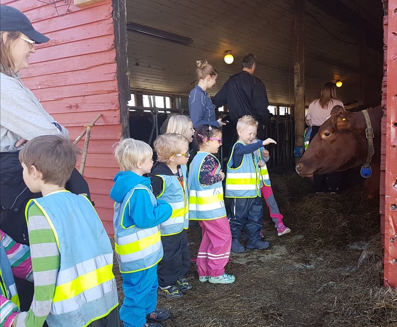Botne og Hillestad 2018 Barnehagebesøk (7)