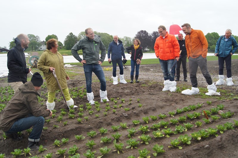 Landbruks- og matminister Olaug Bollestad (KrF) tråkker nesten i salaten   Foto: Amund Kind, Vestfold Bondelag