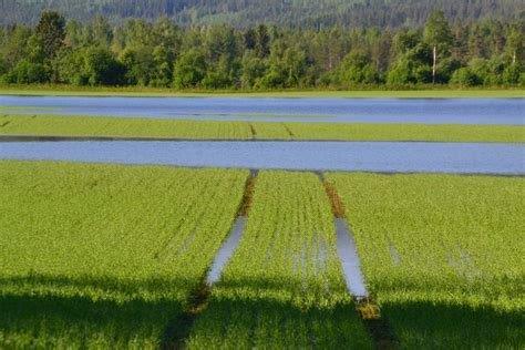 Flom landbruk Foto Sandefjord kommune