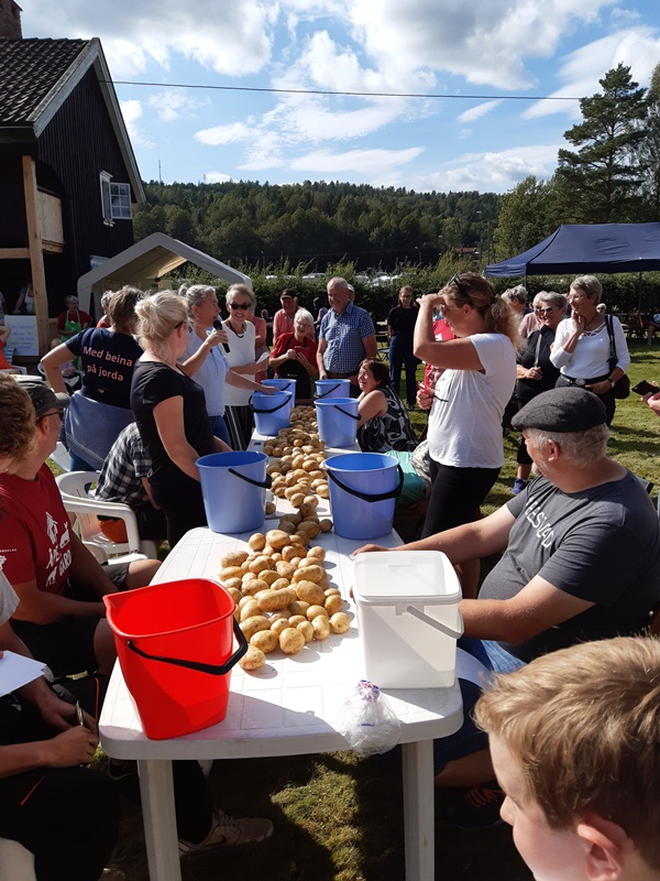 ÅG Ramnes 2019 Mesterskap i potetskrelling