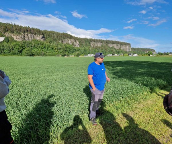 Rådgiver Per Ivar Hanedalen fra NLR Østlandet deler sine kunnskaper om korn med deltakerne på markvandringen