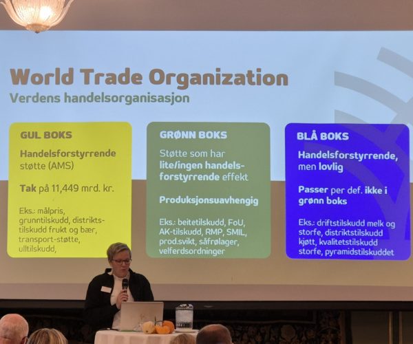 De gule, grønne og blå boksene har mange hørt om, og Bodhild fortalte om WTO og om hvordan vi må forholde oss til den som internasjonal avtale. 